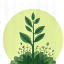 Brotación de hojas verdes y flores en primavera, simbolizando renovación y detox.