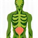 Icono estilizado de una articulación rodeada de una hoja verde, simbolizando recuperación natural y cuidado de las articulaciones.